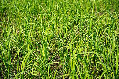 2024年Steam新作销售创下历史新高：最好的一年